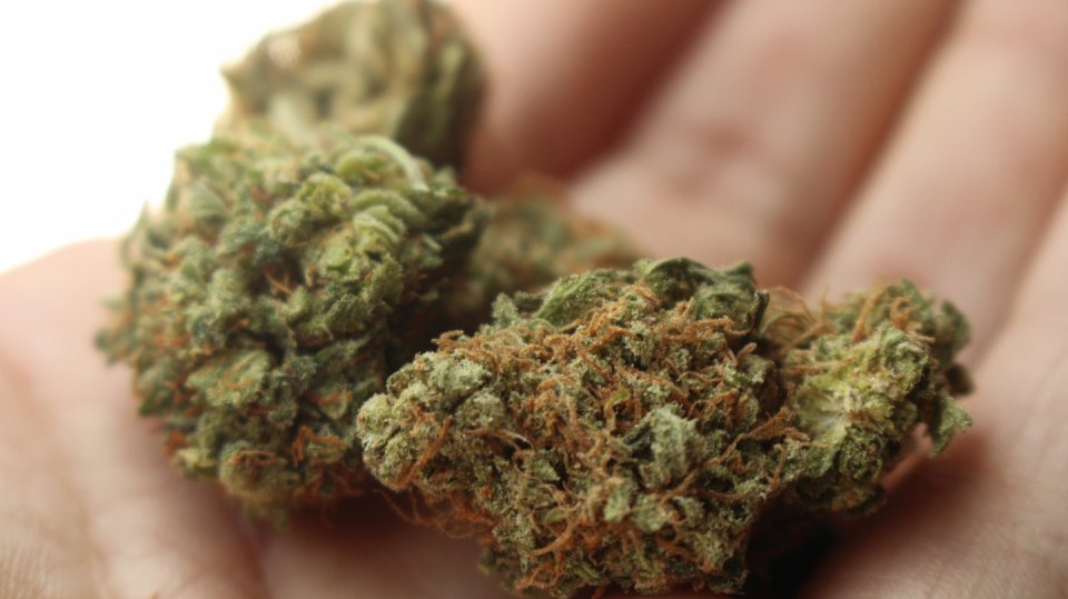 Počet mladých kuřáků v ČR klesá, nejoblíbenější drogou dospívajících je marihuana